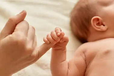 Muestra la foto de un bebe agarrando las manos de su madre